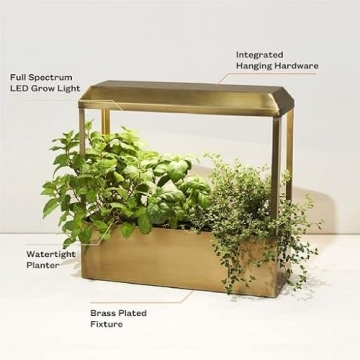 Modern Sprout Smart Growhouse Stylish Indoor Plant Grower
