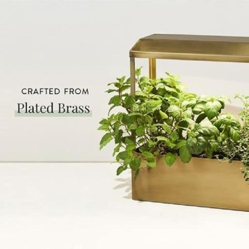 Modern Sprout Smart Growhouse Stylish Indoor Plant Grower