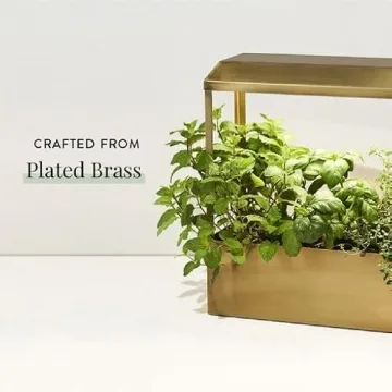 Modern Sprout Smart Growhouse Stylish Indoor Plant Grower