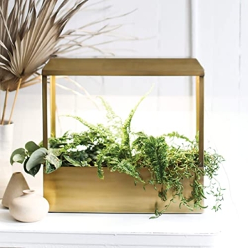 Modern Sprout Smart Growhouse Stylish Indoor Plant Grower