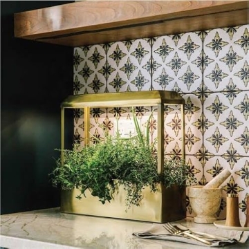 Modern Sprout Smart Growhouse Stylish Indoor Plant Grower