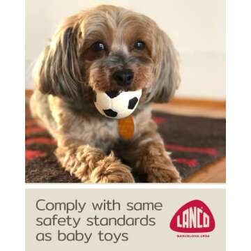 Lanco Small Dog Balls Squeaky Soccer Rubber Dog Toy Puppy (BlackSoccer)
