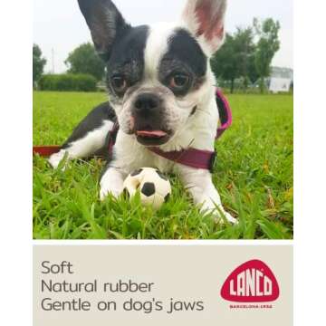 Lanco Small Dog Balls Squeaky Soccer Rubber Dog Toy Puppy (BlackSoccer)