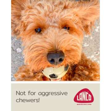 Lanco Small Dog Balls Squeaky Soccer Rubber Dog Toy Puppy (BlackSoccer)