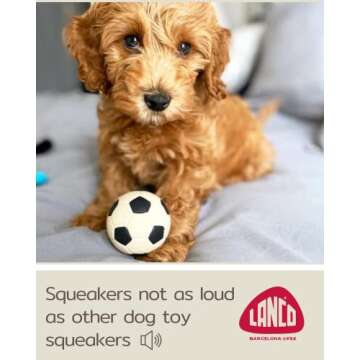 Lanco Small Dog Balls Squeaky Soccer Rubber Dog Toy Puppy (BlackSoccer)