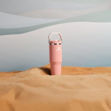 Stanley IceFlow 2.0 Flip Straw Tumbler 30 oz | Leak Resistant Insulated Stainless Steel Water Bottle