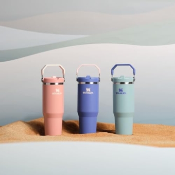 Stanley IceFlow 2.0 Tumbler | Insulated & Leak Resistant 30 oz