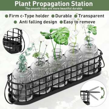 CUIWHRL Plant Propagation Station, Glass Terrarium for Hydroponic Plants, Metal Stand - Home & Office Decor