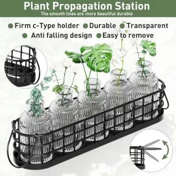 CUIWHRL Plant Propagation Station, Glass Terrarium for Hydroponic Plants, Metal Stand - Home & Office Decor