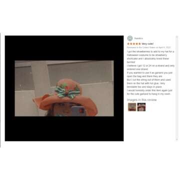 Strawberry Garland - Birthday Decorations.