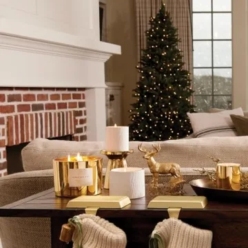 Thymes Frasier Fir Candle - Elegant 100 Hour Burn