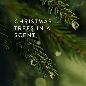 Thymes Frasier Fir Candle - Elegant 100 Hour Burn