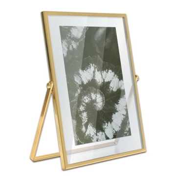 MIMOSA MOMENTS Brass Metal Floating 5x7 Picture Frame for Elegance