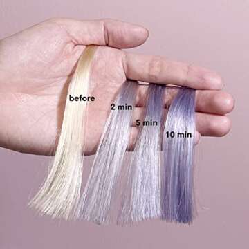 Pallure Blonde Toning Shampoo, Reduces Brassiness And Yellow Tones – For Blonde, Platinum, Bleached, Silver Hair, Vegan and Cruelty Free (10.14 Fl Oz)