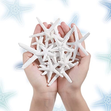 21-Piece Starfish Ornament Set for Coastal Decor & Crafts