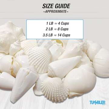 Tumbler Home 1 Pound White Seashells for Decor and Crafts