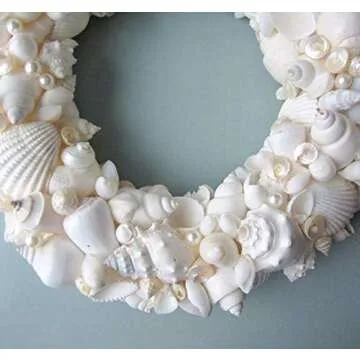 Tumbler Home 1 Pound White Seashells for Decor and Crafts