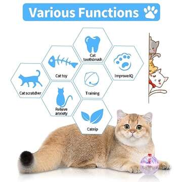 MVNIHEK 24 Piece Light Up Cat Balls Ghost Hunting Equipment, Indoor Motion-Activated Magic Cat Ball, Plastic Glowing Pet Toys