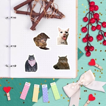 100Pcs Funny Cat Meme Stickers for Every Occasion
