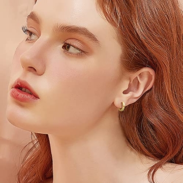 Micuco Small Gold Hoop Earrings for Sensitive Ears