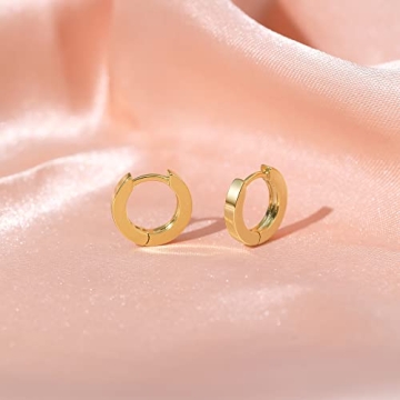 Micuco Small Gold Hoop Earrings for Sensitive Ears