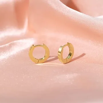 Micuco Small Gold Hoop Earrings for Sensitive Ears