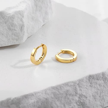 Micuco Small Gold Hoop Earrings for Sensitive Ears