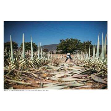 Spirits of Latin America: A Celebration of Culture & Cocktails, with 100 Recipes from Leyenda & Beyond