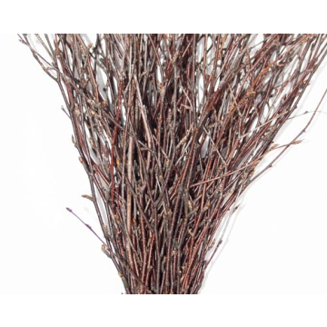 Natural Birch Twigs for DIY Crafts and Home Decor
