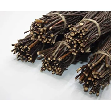 Natural Birch Twigs for DIY Crafts and Home Decor