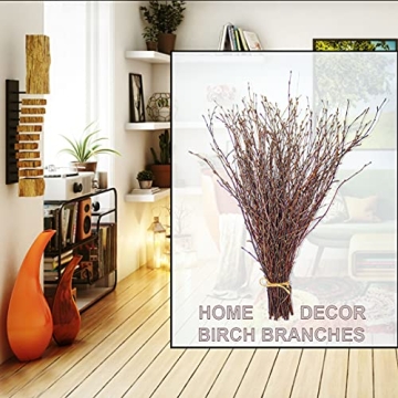 Natural Birch Twigs for DIY Crafts and Home Decor