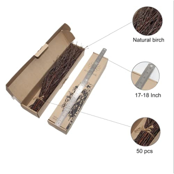 Natural Birch Twigs for DIY Crafts and Home Decor