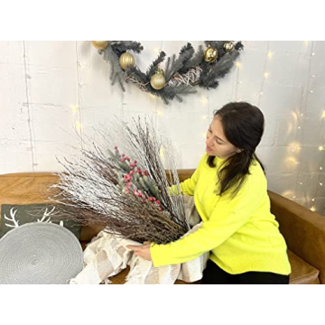 Natural Birch Twigs for DIY Crafts and Home Decor