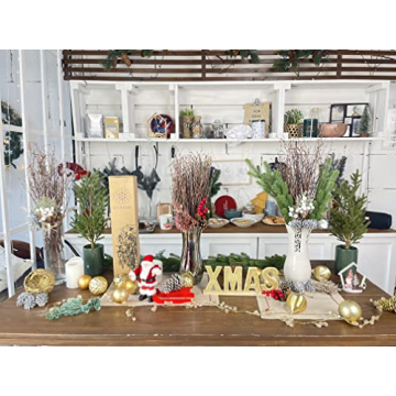 Natural Birch Twigs for DIY Crafts and Home Decor