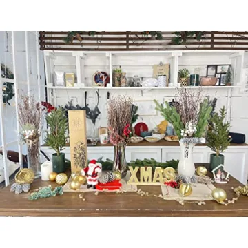 Natural Birch Twigs for DIY Crafts and Home Decor