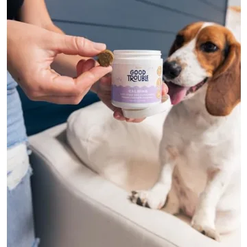 Dog Calming Treats with Natural Ingredients - 30 Chews