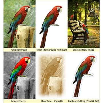 Advanced Graphics Design Software for Sign and Poster Shops VinylMaster DSR