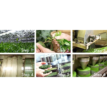 Premium Organic Japanese Matcha Powder for Wellness