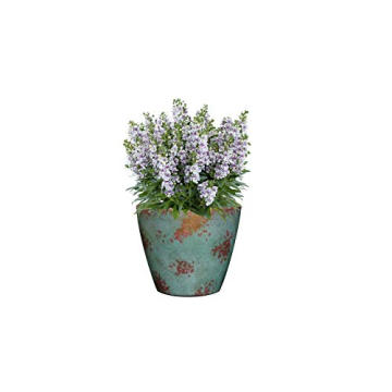 Patina Copper Planter Vogue - Elegant 8-Inch Decor