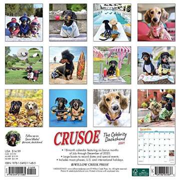 Crusoe the Celebrity Dachshund 2021 Wall Calendar
