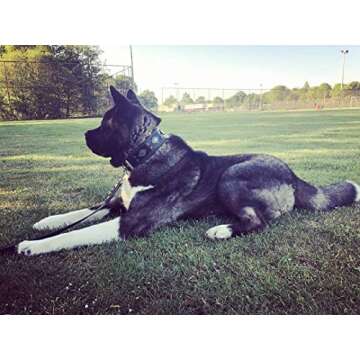 Bestia Aztec Black Genuine Leather Big Dog Collar - Unique Rivet Design