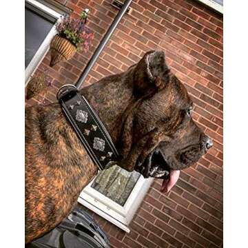 Bestia Black Dog Collar - Durable & Stylish Design