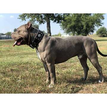 Bestia Black Dog Collar - Durable & Stylish Design