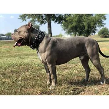 Bestia Black Dog Collar - Durable & Stylish Design