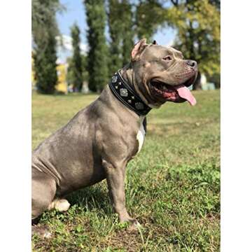 Bestia Black Dog Collar - Durable & Stylish Design