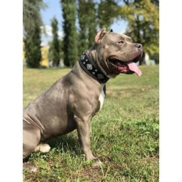 Bestia Black Dog Collar - Durable & Stylish Design