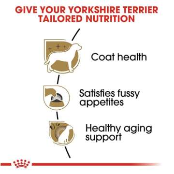 Royal Canin Yorkshire Terrier Adult Dry Dog Food, 10 lb bag