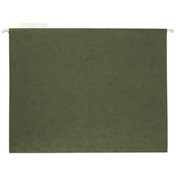 Amazon Basics Hanging Organizer File Folder Pack of 25