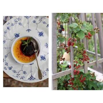 Normandy Cooking: Recipes and Stories from Rabbit Hill Farm