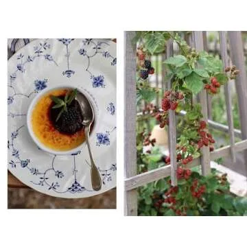 Normandy Cooking: Recipes and Stories from Rabbit Hill Farm